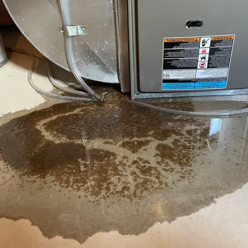 Pipe Burst and Leak Restoration in Los Osos, CA